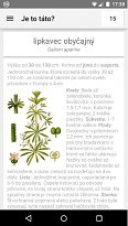 Detailní popis rostliny