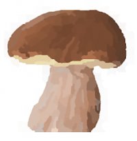 Mushroomizer (mobilní)