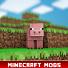 Mod Maker for Minecraft PE (mobilní)