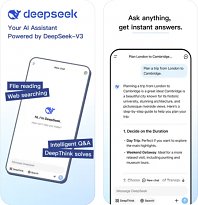 DeepSeek