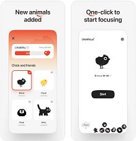 ChickFocus